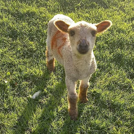 Cosy Shay Bank W/ Kingbed - Near Skipton. * Cowling