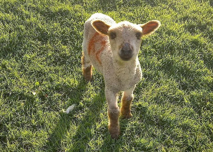 Cosy Shay Bank W/ Kingbed - Near Skipton. * Cowling
