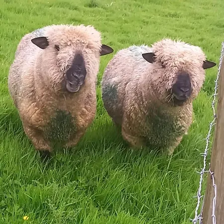 Cosy Shay Bank W/ Kingbed - Near Skipton. Ferienhaus *